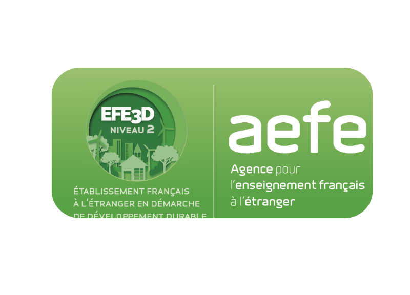 Icono de EFE3D Nivel 2 de la AEFE