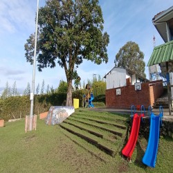 Imagen en miniatura de la galería