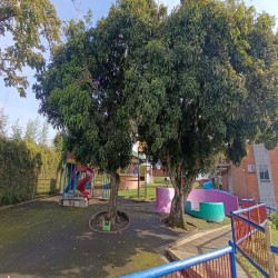 Imagen en miniatura de la galería