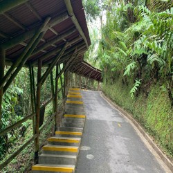 Imagen en miniatura de la galería