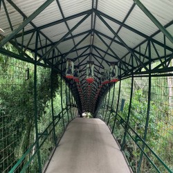 Imagen en miniatura de la galería