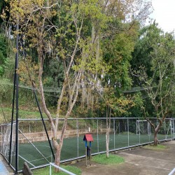 Imagen en miniatura de la galería