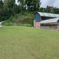 Imagen en miniatura de la galería