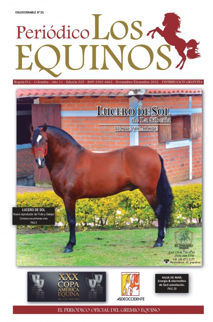 Los Equinos N°25 - Refresco de líneas de paso fino colombiano