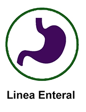 Linea enteral