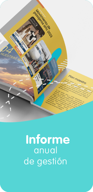 Informe Anual de Gestión