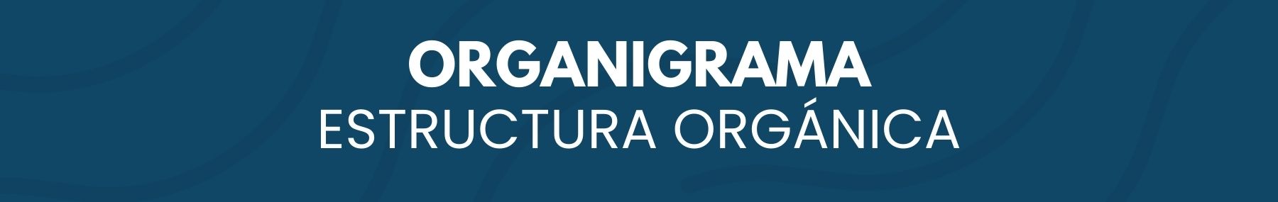 Imagen de cabecera