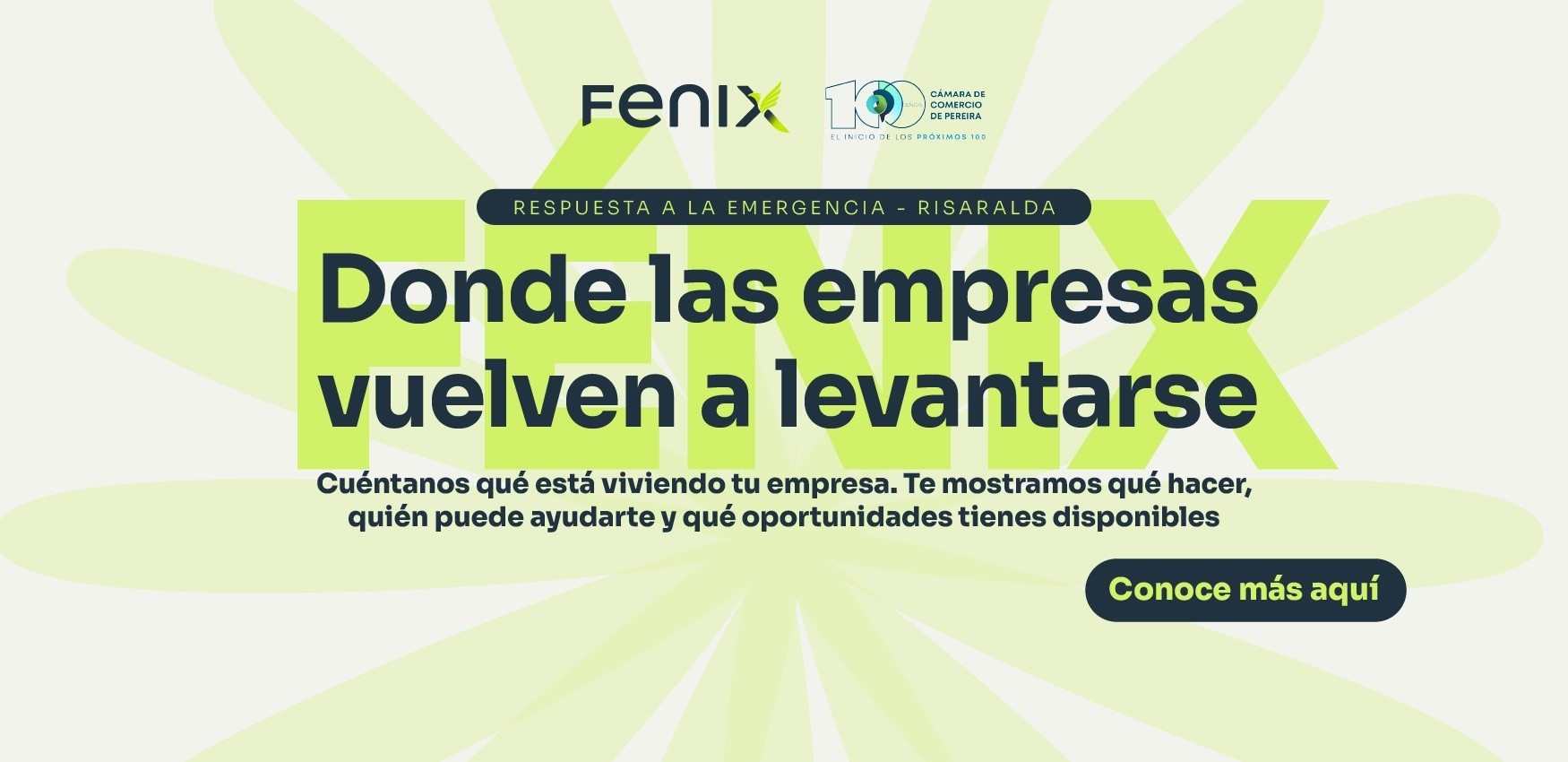 Banner de FENIX