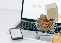 Imagen en miniatura de la galería