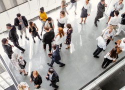 Imagen en miniatura de la galería