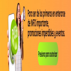 Imagen en miniatura de la galería