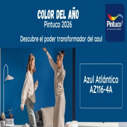 Imagen en miniatura de la galería