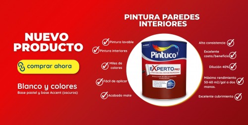 Pintura Experto PRO
