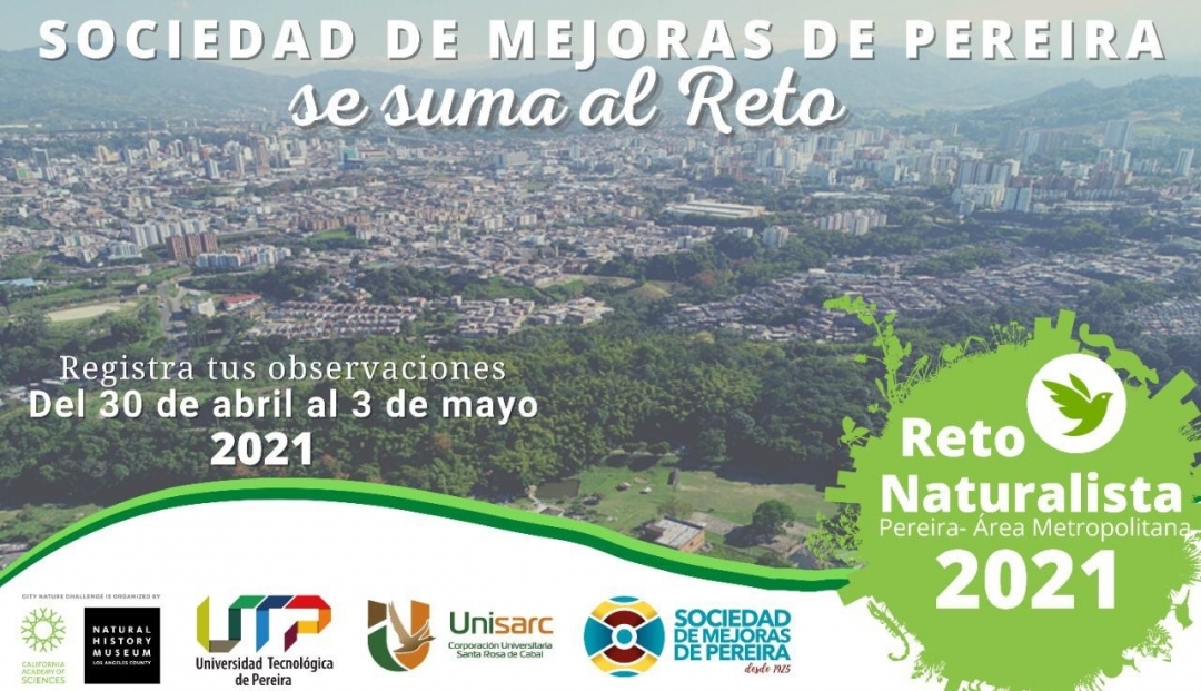 Imagen de cabecera