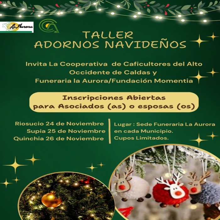 CURSO ADORNOS NAVIDEÑOS