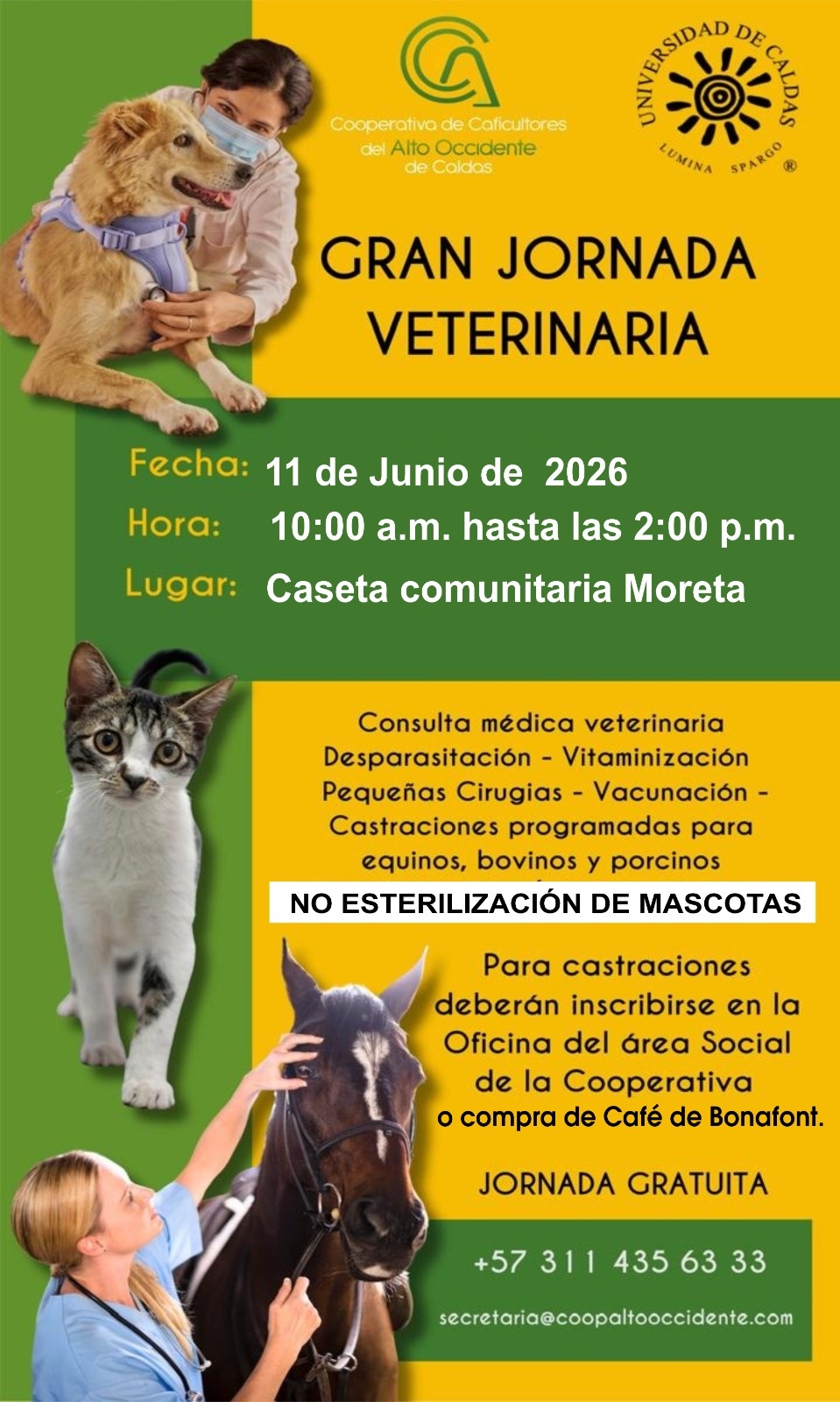 Caratula de evento