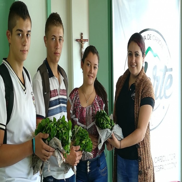 ENTREGA DE CHAPOLA VARIEDAD CENICAFE 1