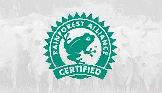 AUDITORIA DE CERTIFICACIÓN RAINFOREST ALLIANCE