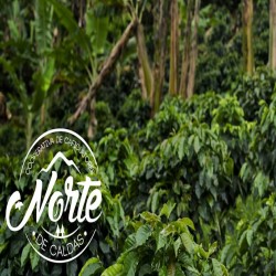 Imagen en miniatura de la galería