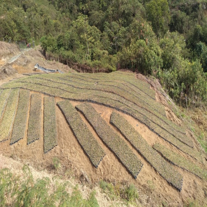 PROYECTO PRODUCTIVO FARMWORKERS 