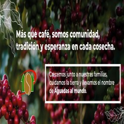 Imagen en miniatura de la galería