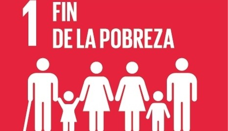 'Día Internacional de la Erradicación de la Pobreza' Fin de la pobreza, un mismo objetivo en diversos contextos