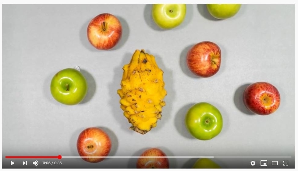 Aportemos nuestro granito de arena en la conservación del planeta 