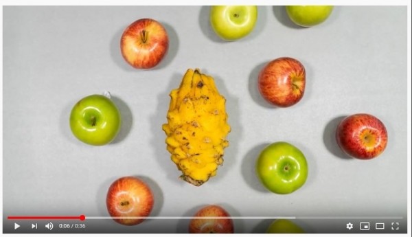 Aportemos nuestro granito de arena en la conservación del planeta 