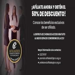 Imagen en miniatura de la galería