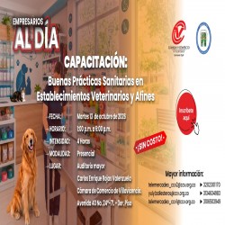 Imagen en miniatura de la galería