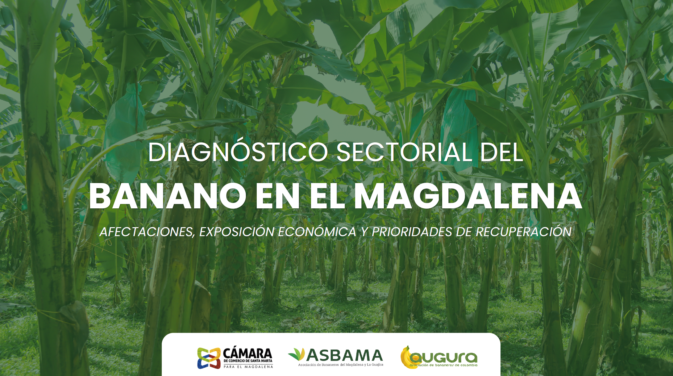 Portada del Índice Departamental de Competitividad 2026 para el Magdalena