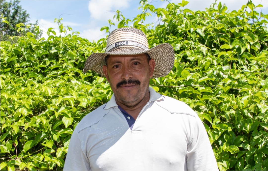 Transformación digital en el agro: Identifiquemos juntos las brechas tecnológicas.