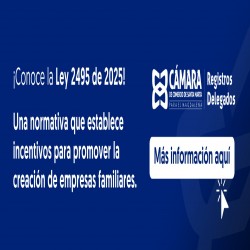 Imagen en miniatura de la galería
