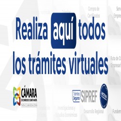 Imagen en miniatura de la galería