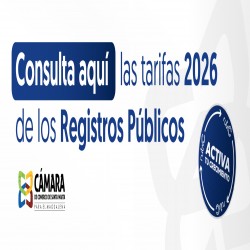 Imagen en miniatura de la galería