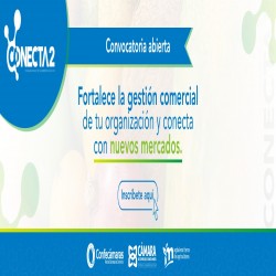 Imagen en miniatura de la galería