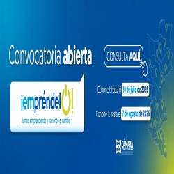 Imagen en miniatura de la galería