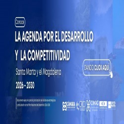 Imagen en miniatura de la galería