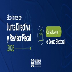 Imagen en miniatura de la galería