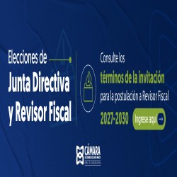 Imagen en miniatura de la galería