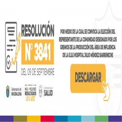 Imagen en miniatura de la galería