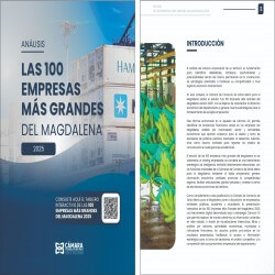 Imagen en miniatura de la galería