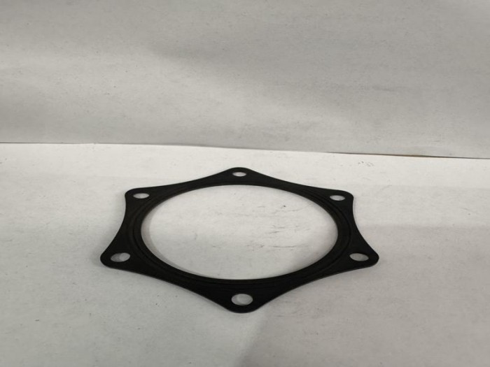 GASKETFLANGE