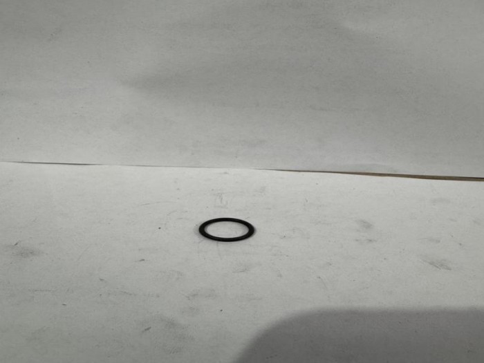 Oring bomba principal DX55W