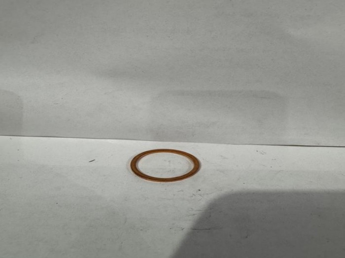 SEAL RING DX 225 LCA