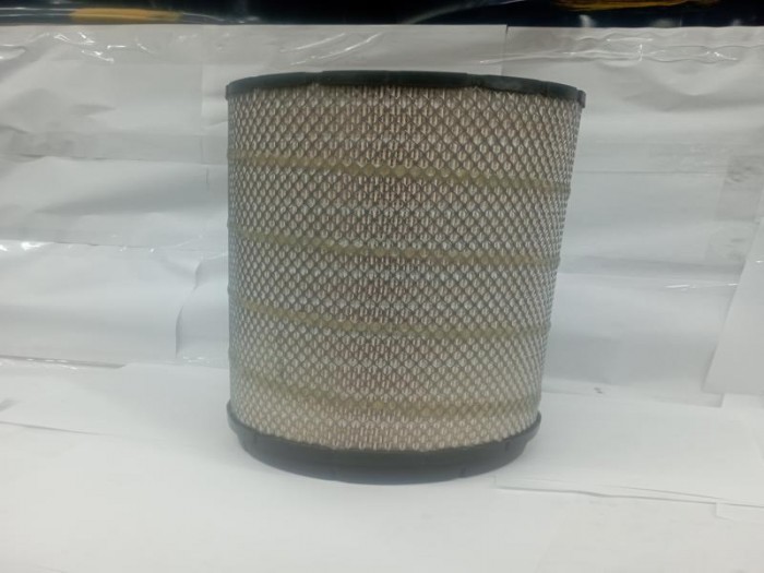 Filtro Aire Primario  (AF25962)