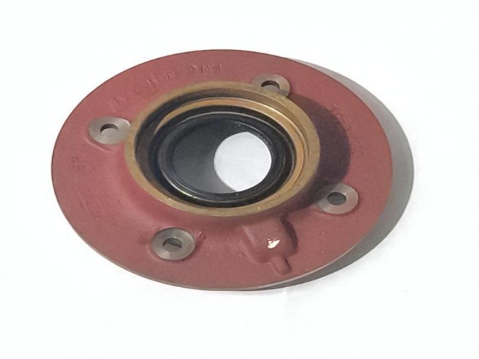 CAPUCHON CAJA DE CAMBIOS 