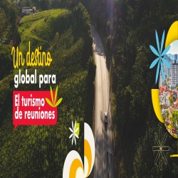 Imagen en miniatura de la galería