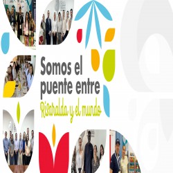 Imagen en miniatura de la galería