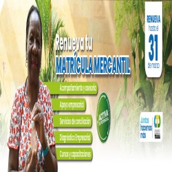 Imagen en miniatura de la galería